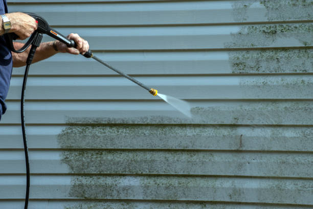 Best Pool Deck Cleaning in Kingston, IL